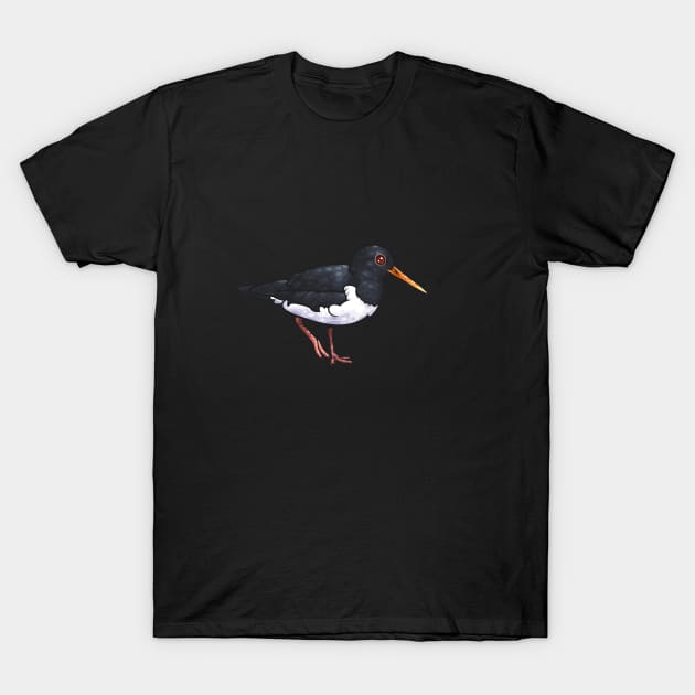 Eurasian Oystercatcher T-Shirt by Ginboy